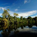 Floresta e rio refletindo árvores em Alta Floresta, Mato Grosso, área de unidades de conservação na Amazônia