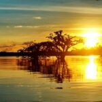 Explorando a Vasta Hidrografia do Brasil