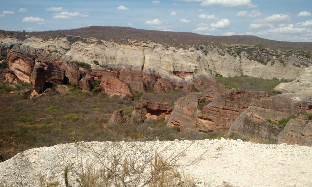 Estado do Piauí: Geografia, História e Dados Completos