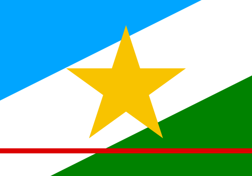 Bandeira de Roraima: faixas diagonais azul, branca e verde com estrela amarela