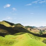 25 Curiosidades sobre o Brasil: Fatos com Fonte Oficial