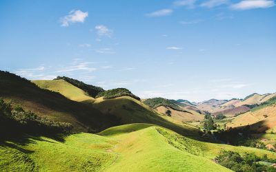 25 Curiosidades sobre o Brasil: Fatos com Fonte Oficial