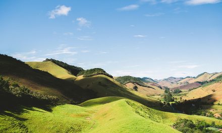 25 Curiosidades sobre o Brasil: Fatos com Fonte Oficial