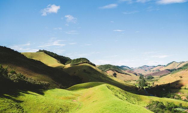 25 Curiosidades sobre o Brasil: Fatos com Fonte Oficial