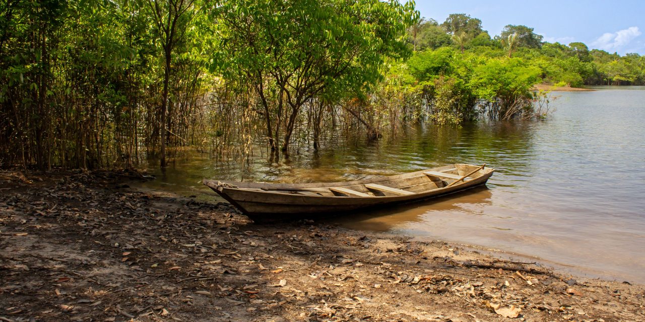 Estado do Amazonas: Geografia, História, Economia e Turismo
