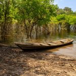 Canoa de madeira atracada na margem barrenta de um rio amazonico, cercada por vegetacao densa, no Amazonas