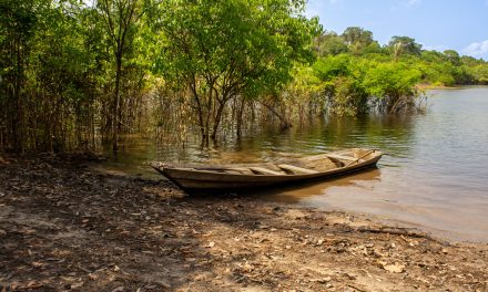 Estado do Amazonas: Geografia, História, Economia e Turismo