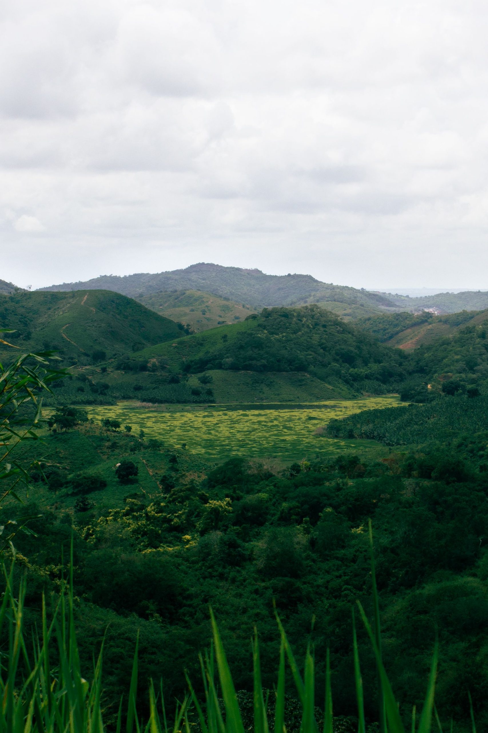 Colinas verdes do Planalto da Borborema, na Paraíba