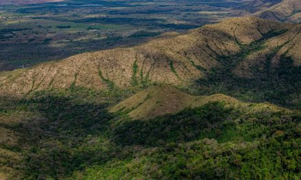 Região Centro-Oeste do Brasil: Geografia, População e Economia