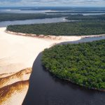 Vista aérea da Floresta Amazônica com banco de areia em Barcelos, AM