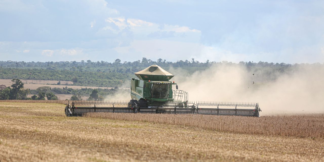 Economia Brasileira: PIB, Setores e Comércio Exterior em 2025