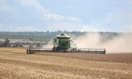 Economia Brasileira: PIB, Setores e Comércio Exterior em 2025