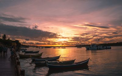 Estado de Sergipe: Geografia, Economia, Cultura e Turismo